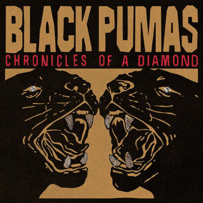 Black Pumas – Chronicles Of A Diamond LP (Przeźroczysty winyl)