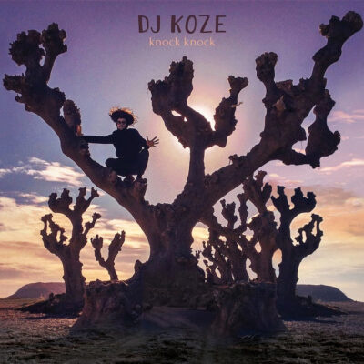 DJ Koze – Knock Knock 2LP + 7"