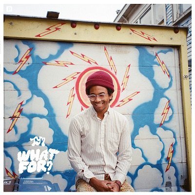 Toro Y Moi ‎– What For? LP