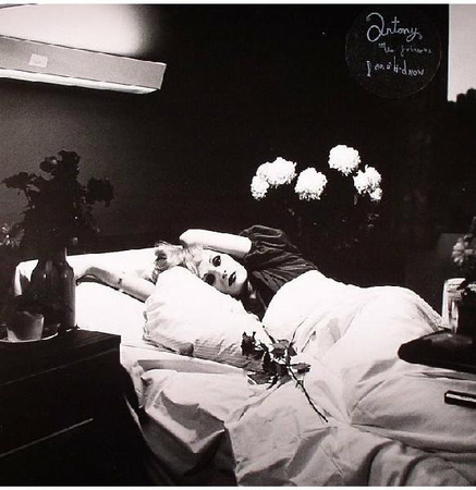 Antony And The Johnsons – I Am A Bird Now LP