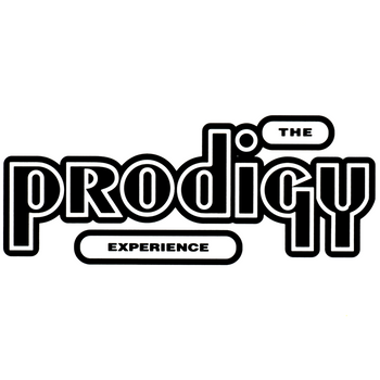 The Prodigy ‎– Experience LP