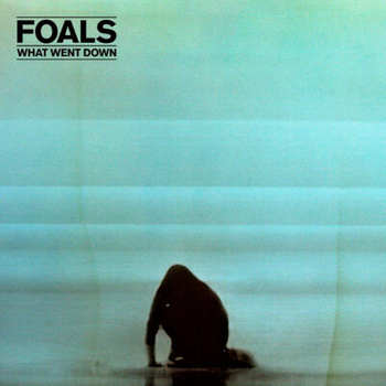 FOALS What Went Down LP