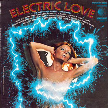 Electronic Concept Orchestra ‎– Electric Love LP