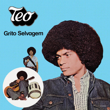 Teo ‎– Grito Selvagem LP