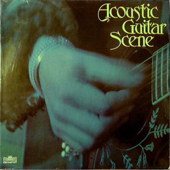 Various – Acoustic Guitar Scene 2LP