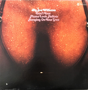 Big Joe Williams – Don't Your Plums Look Mellow Hanging On Your Tree LP  (1st US PRESS)