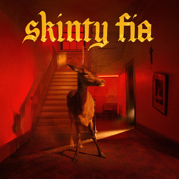 Fontaines D.C. – Skinty Fia LP