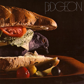 Pidgeon – Pidgeon LP (1st US PRESS)