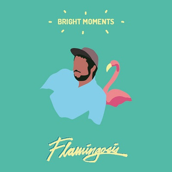 Flamingosis ‎– Bright Moments LP